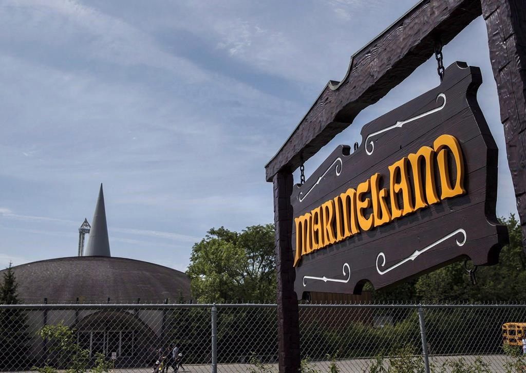 Marineland is shown in Niagara Falls