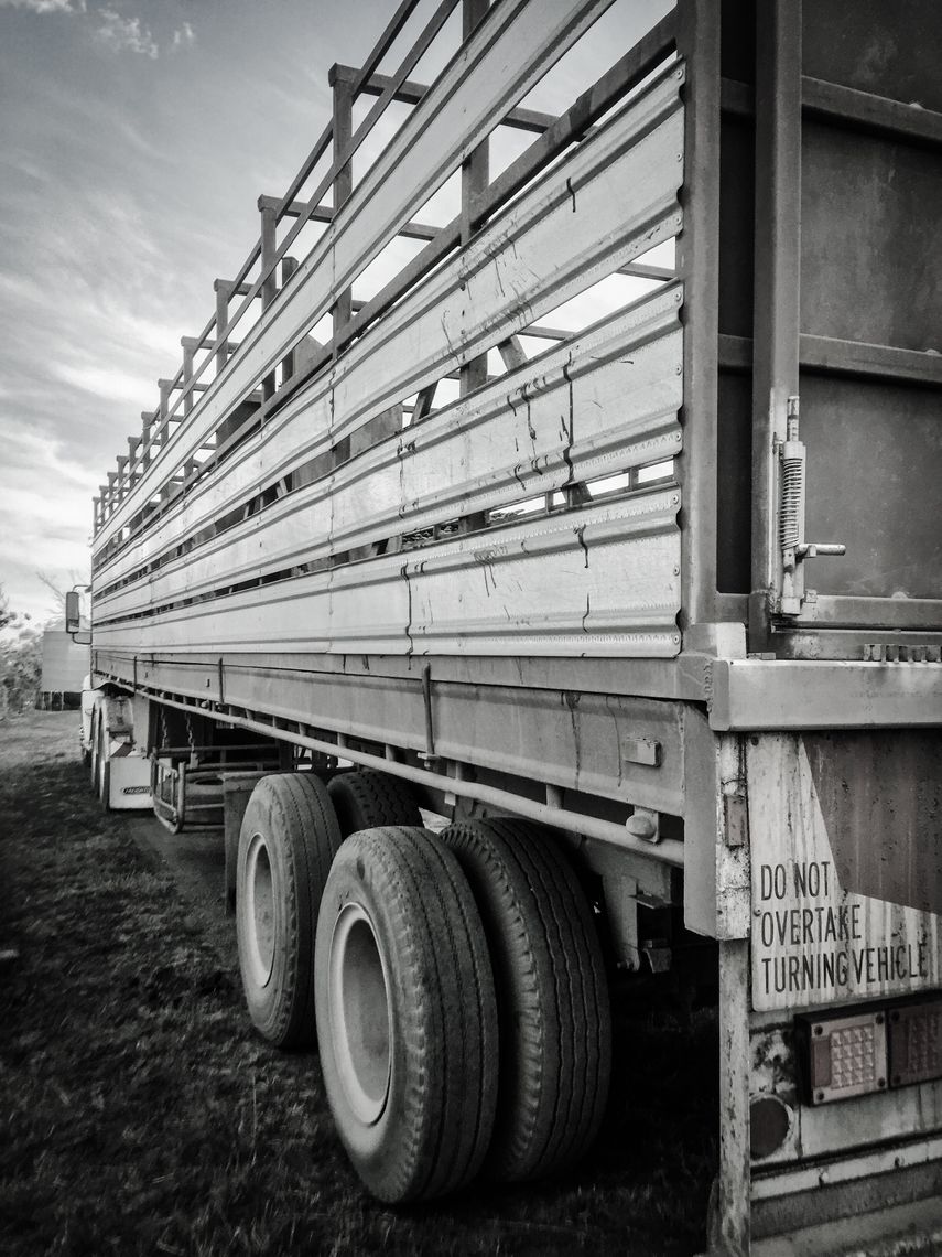 livestock truck