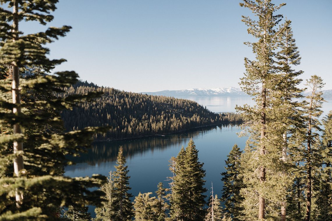 wide screen shot of lake surrounded by woods