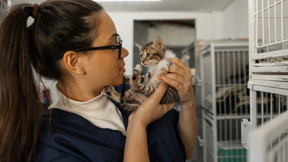 woman holding kitten in animal shelter