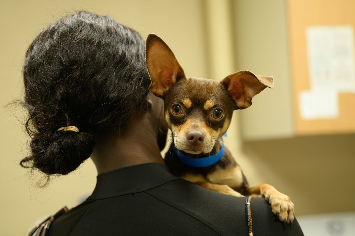 woman holding dog over her shoulder