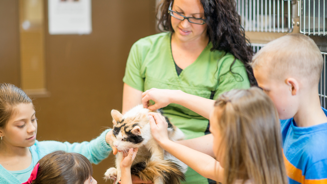 woman and kids petting cat at animal shelter