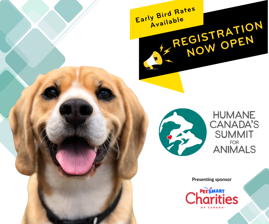 Beagle looking into the camera, Summit for Animals conference logo, PetSmart Charities of Canada logo. Registration is now open text