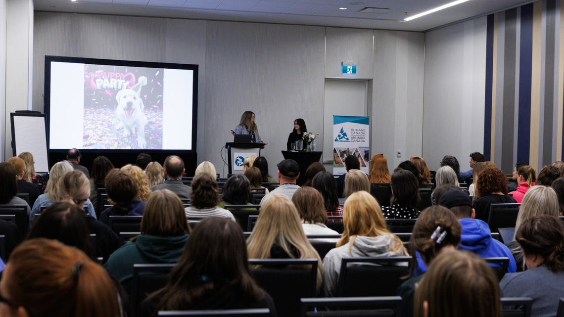 Two women speaking at a podium at a conference, a full room with a screen at the front, and people sitting with their backs to the camera