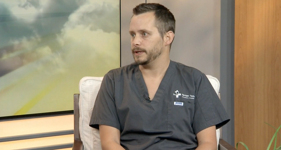 Image of D. Mike Ackerley, a veterinarian with the Tartan Tails Veterinary Hospital in Dartmouth, N.S.